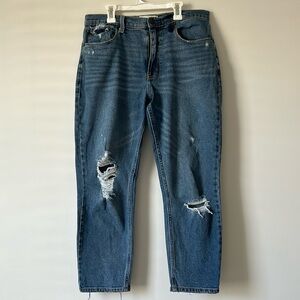 Abercrombie & Fitch Mom Jean size 8 regular
